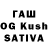 ГАШИШ hashish Damian Brzezinski