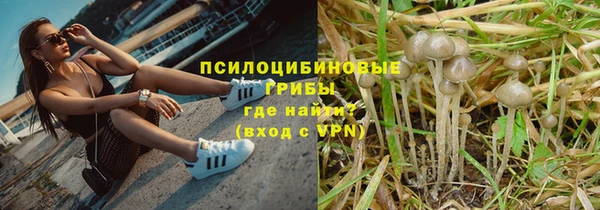 дурь Сафоново
